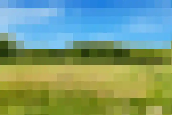 Visweg 44 Egmond-Binnen thumbnail 43