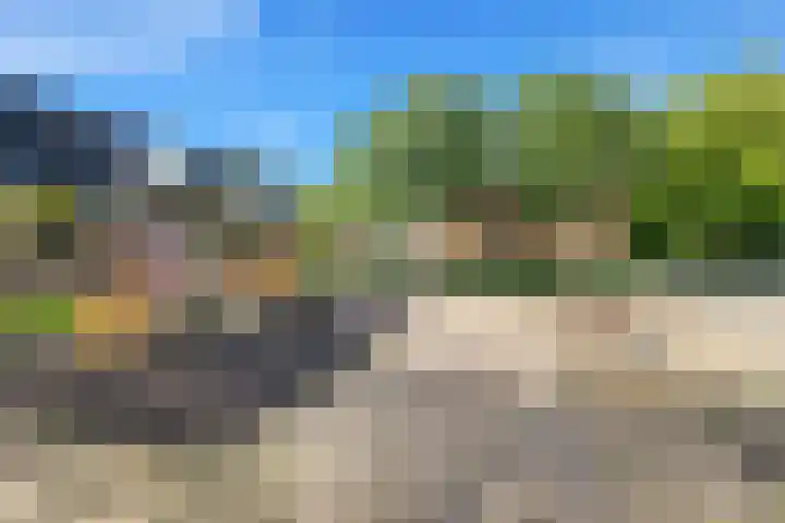 Visweg 44 Egmond-Binnen thumbnail 45