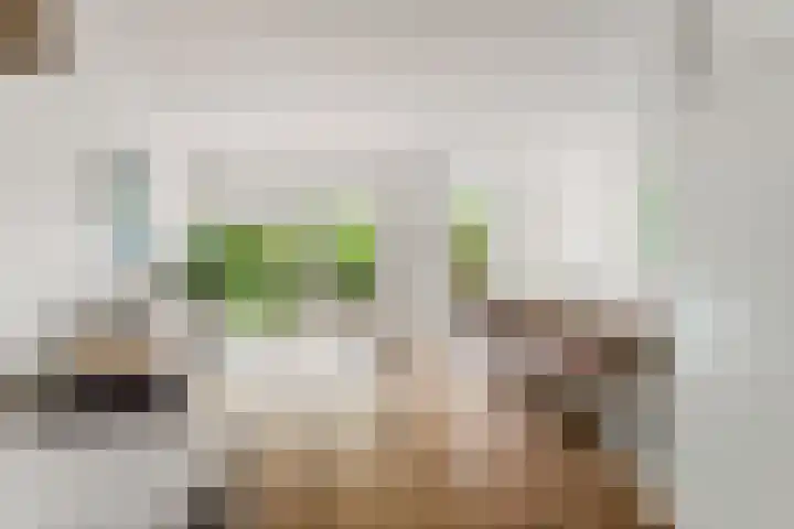 Visweg 44 Egmond-Binnen thumbnail 9