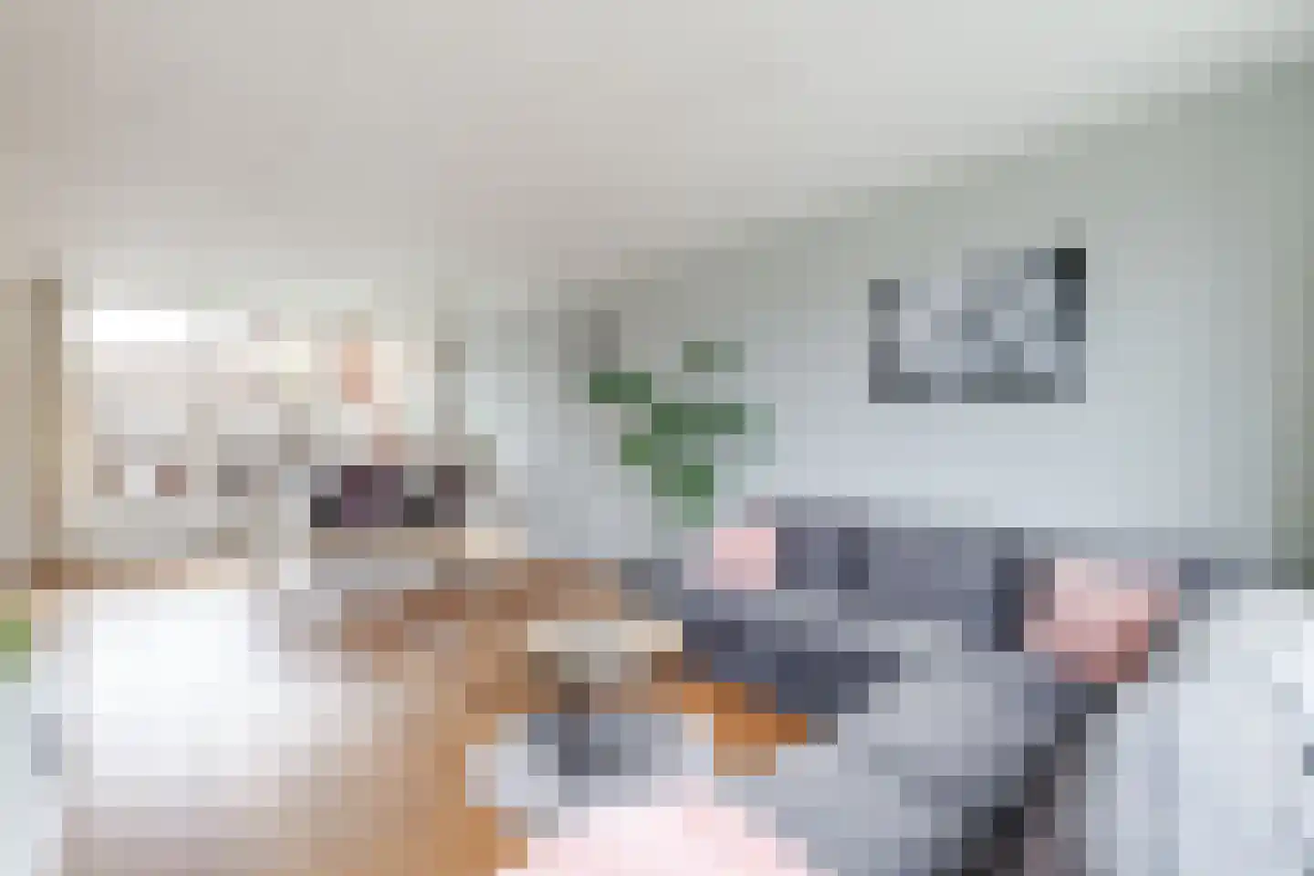 Visweg 6 Egmond-Binnen thumbnail 9