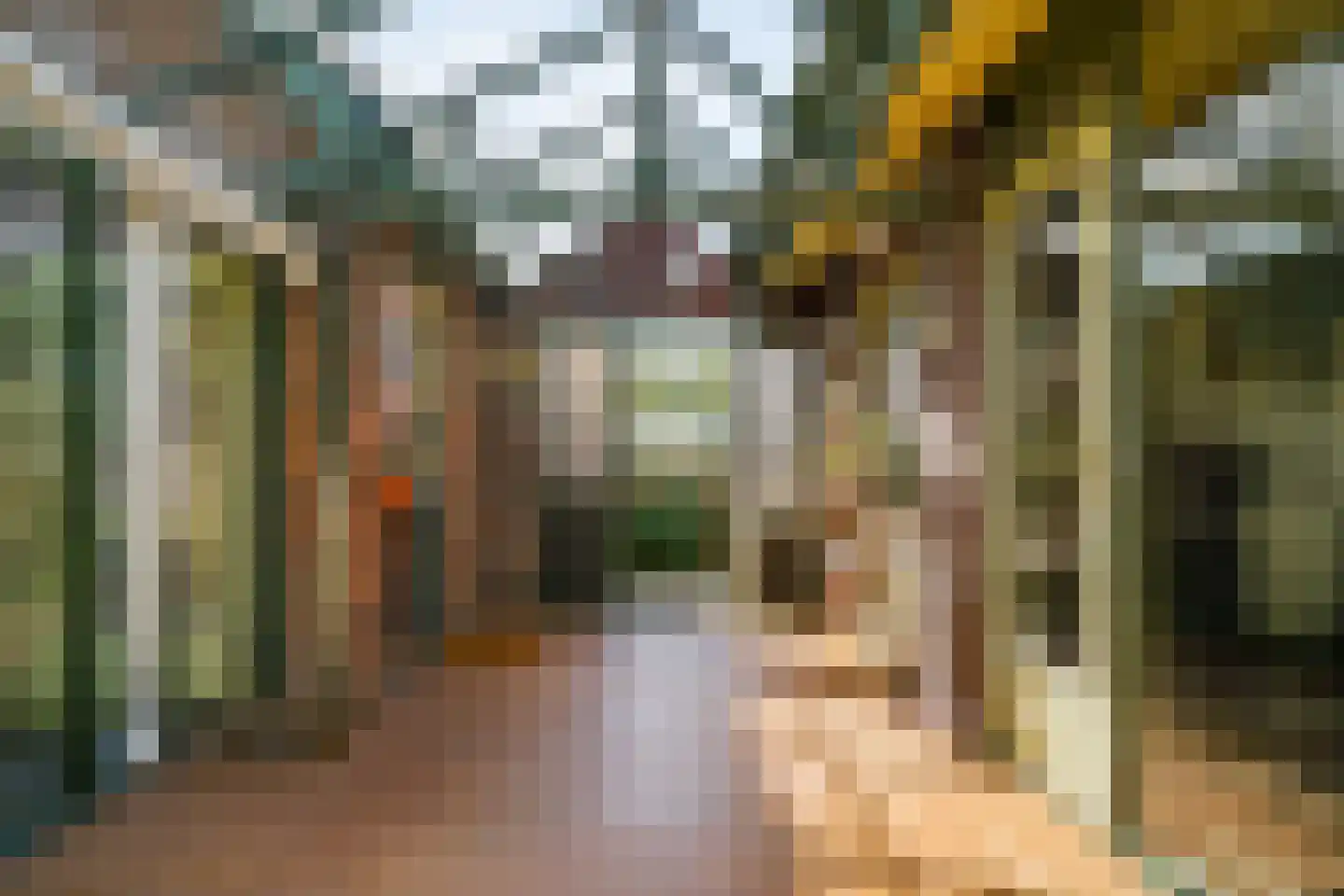 Visweg 69 Limmen thumbnail 12