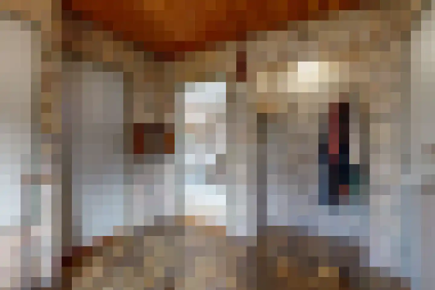 Visweg 69 Limmen thumbnail 14