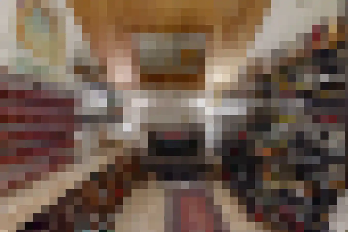 Visweg 69 Limmen thumbnail 18