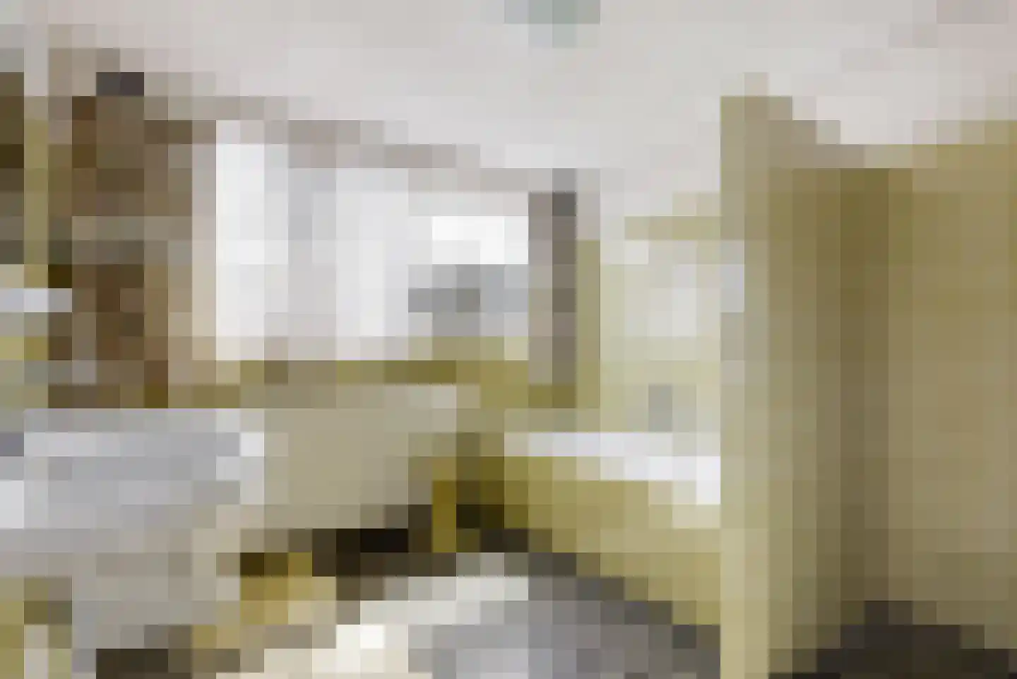 Visweg 69 Limmen thumbnail 29