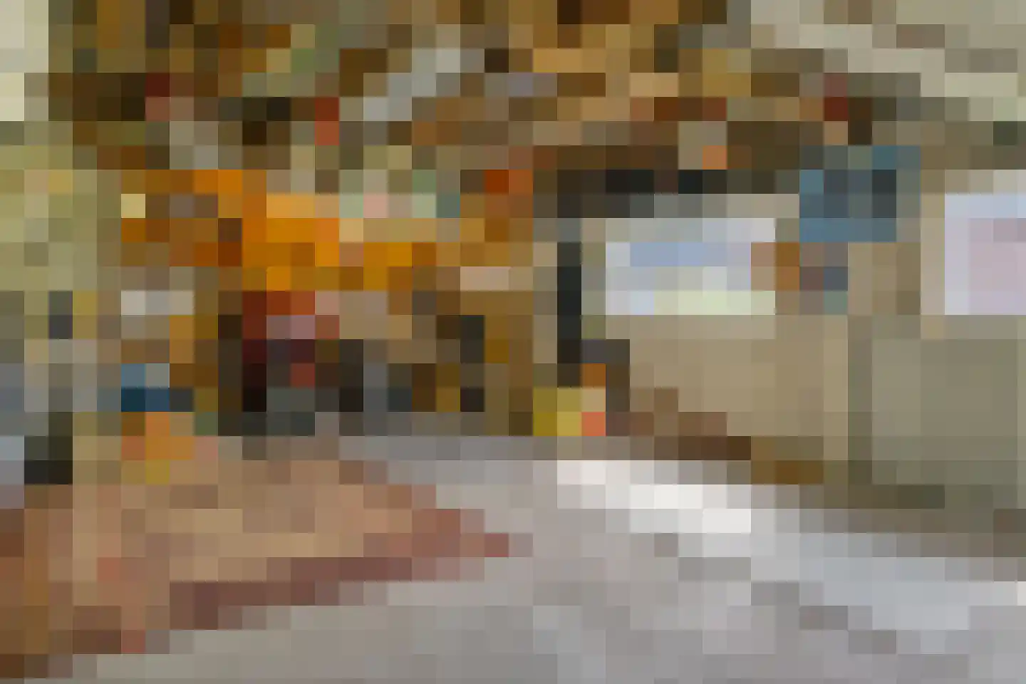 Visweg 69 Limmen thumbnail 34