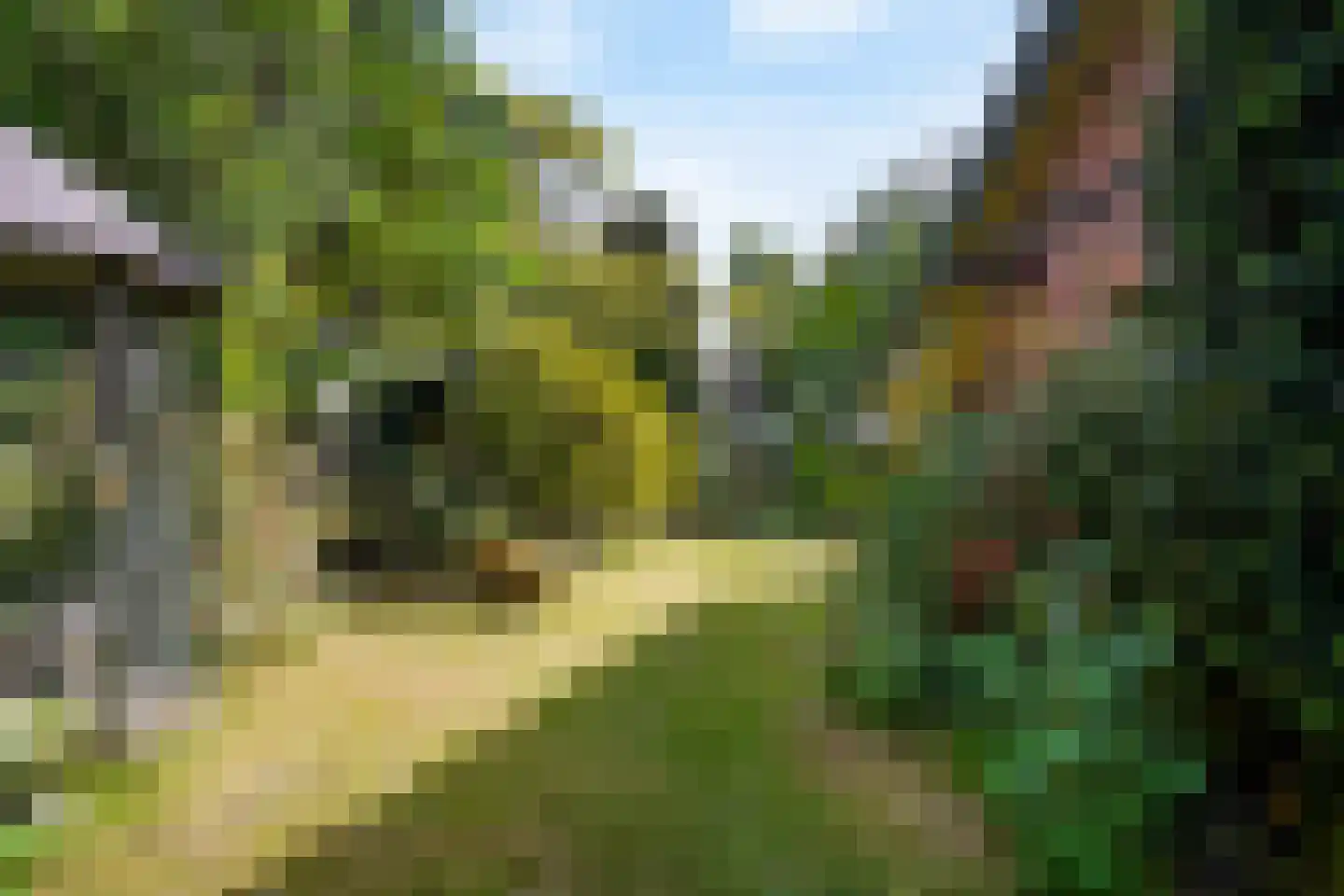 Visweg 69 Limmen thumbnail 38