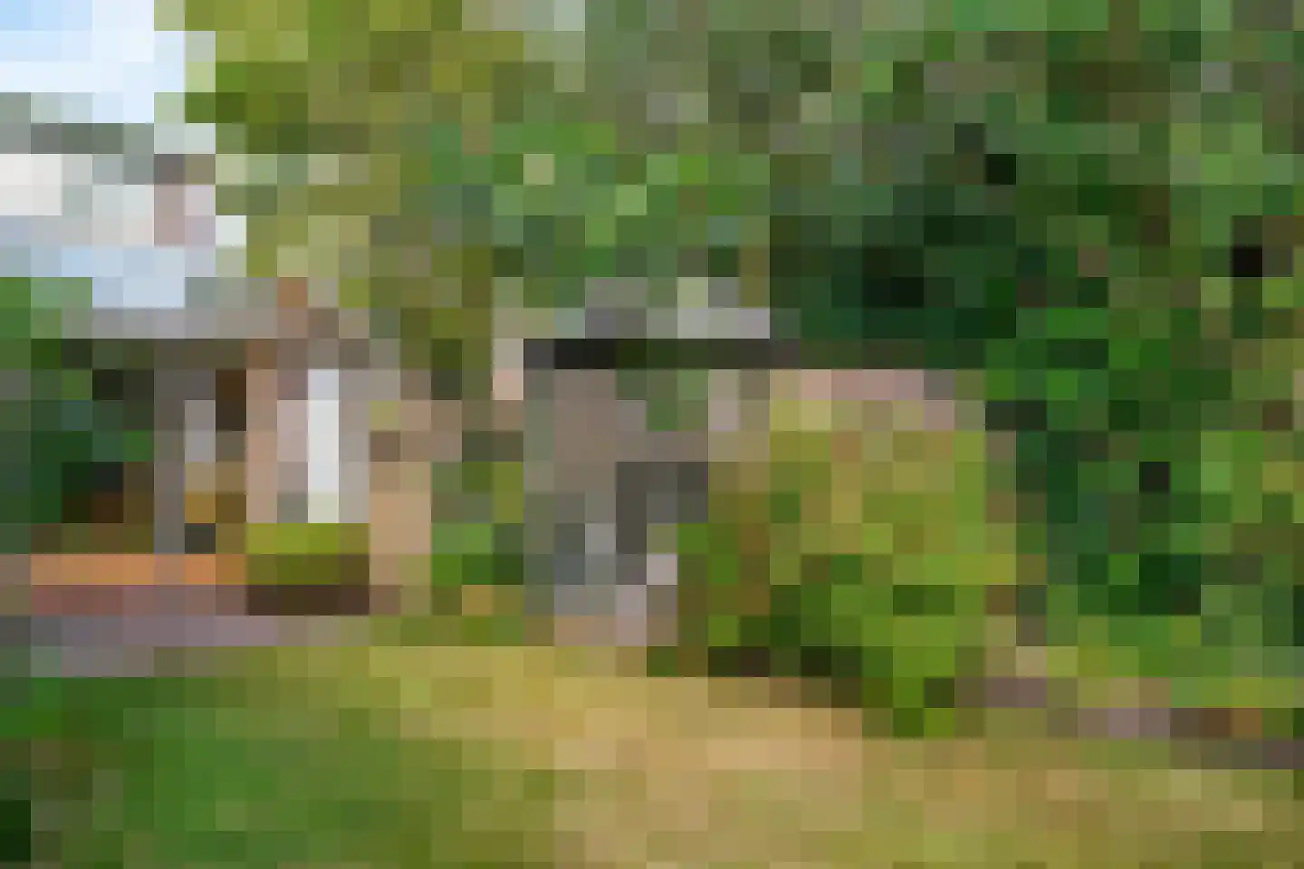 Visweg 69 Limmen thumbnail 39