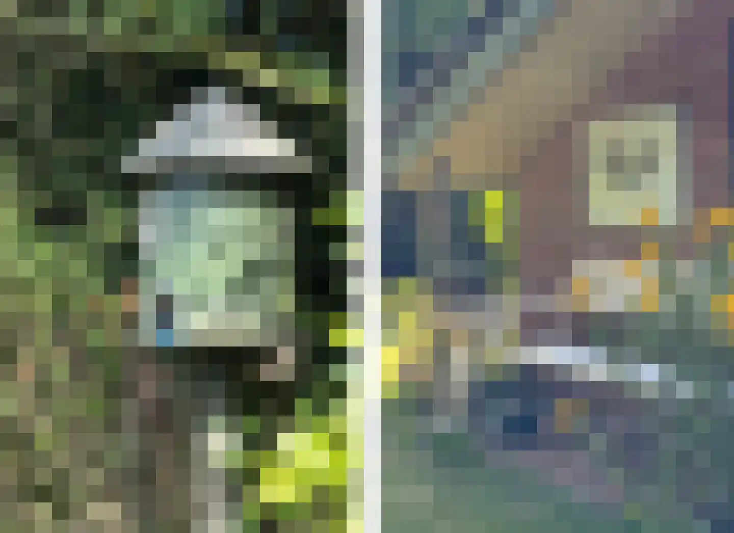 Visweg 69 Limmen thumbnail 40