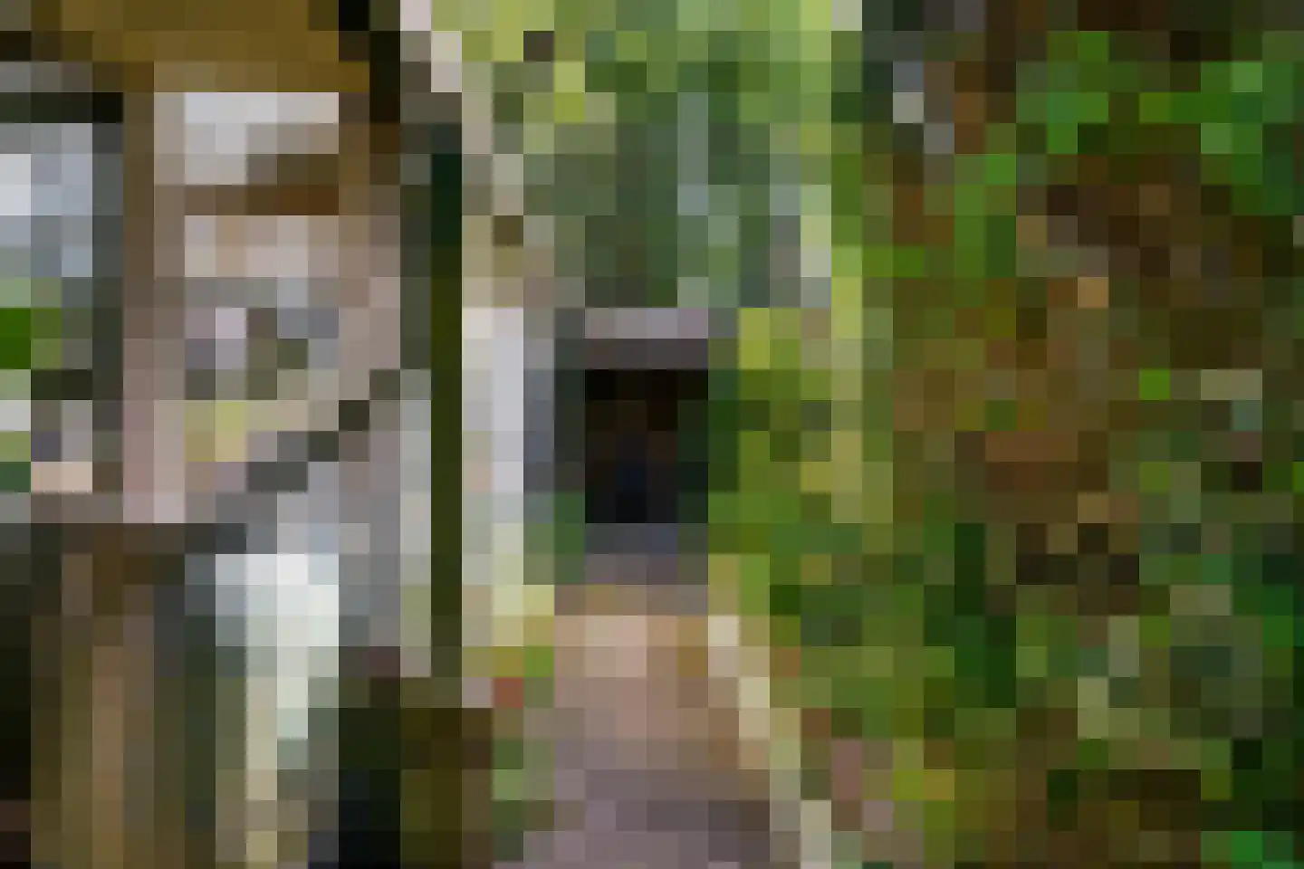 Visweg 69 Limmen thumbnail 41