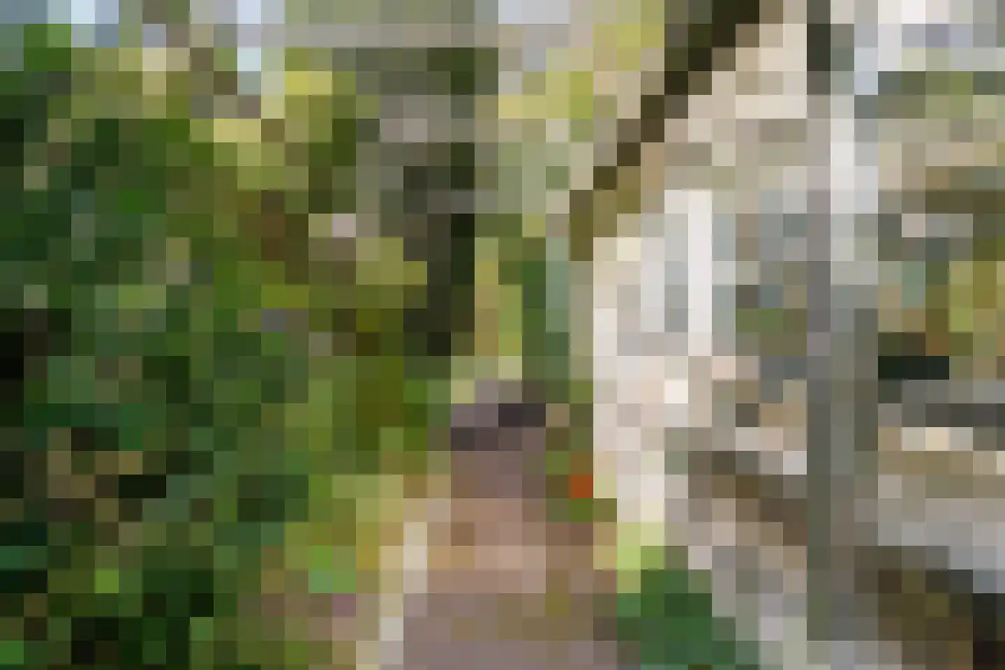 Visweg 69 Limmen thumbnail 42