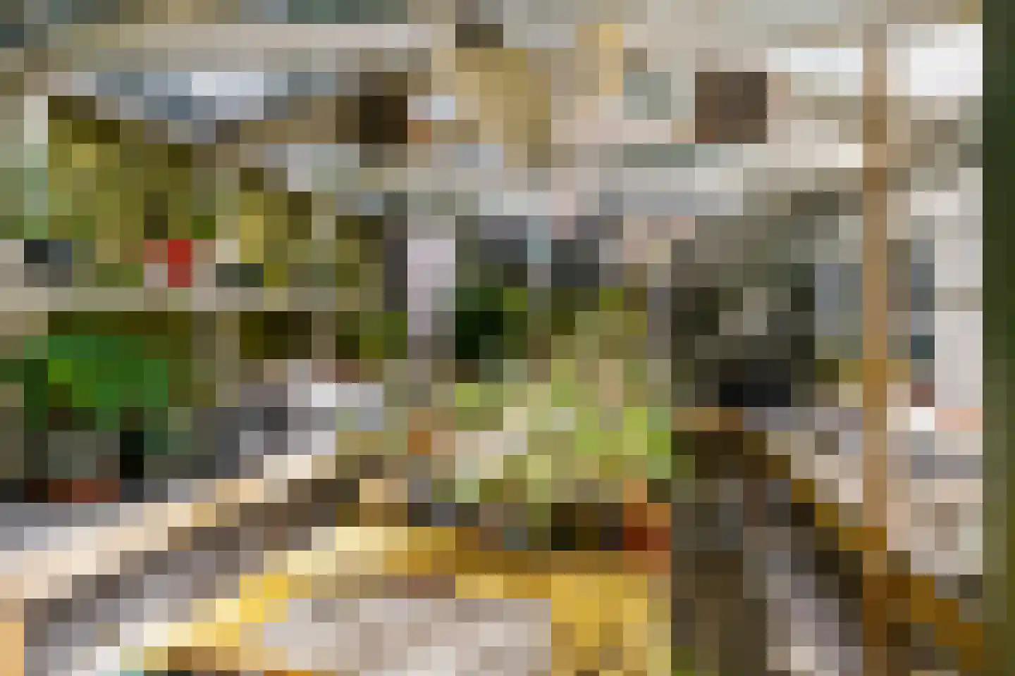 Visweg 69 Limmen thumbnail 43