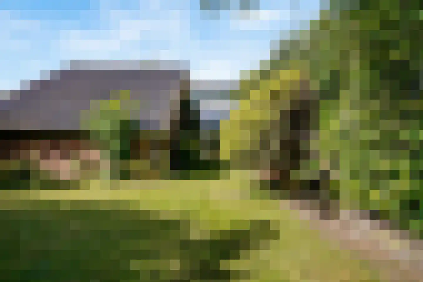 Visweg 69 Limmen thumbnail 45