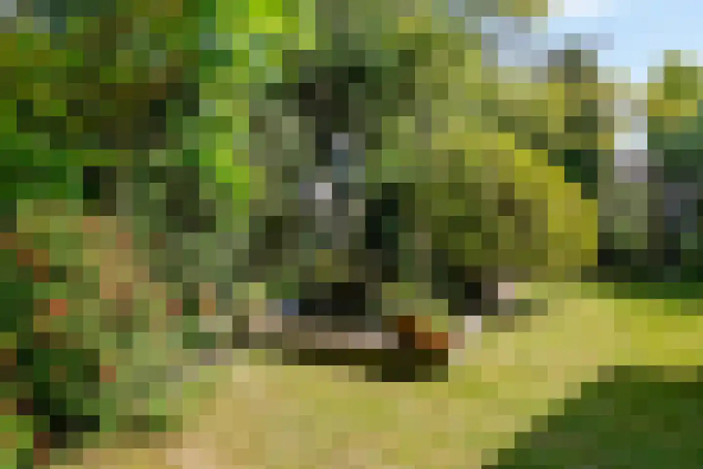 Visweg 69 Limmen thumbnail 47