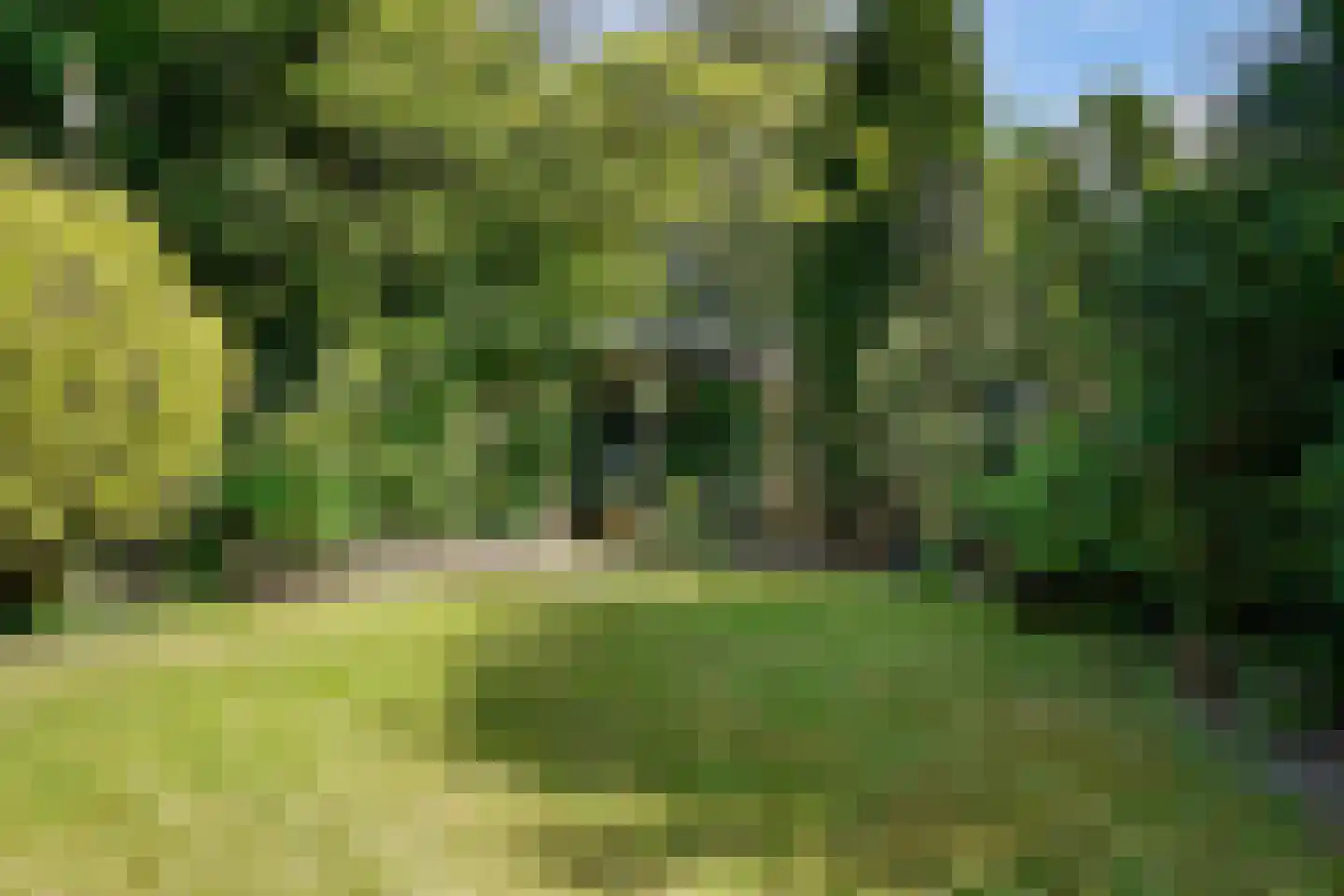 Visweg 69 Limmen thumbnail 48