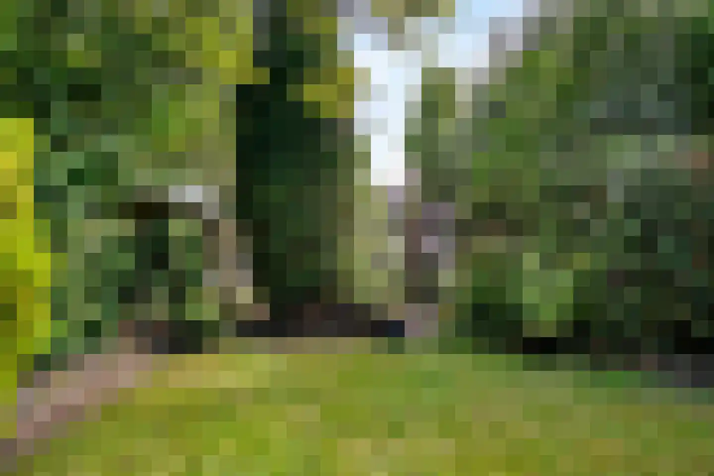Visweg 69 Limmen thumbnail 49