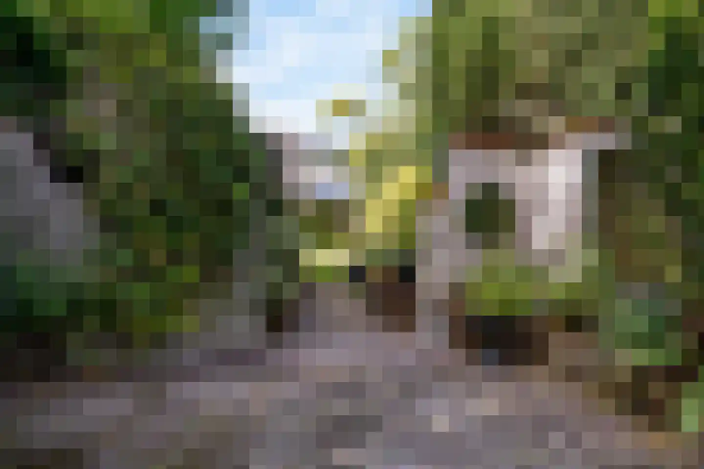 Visweg 69 Limmen thumbnail 50