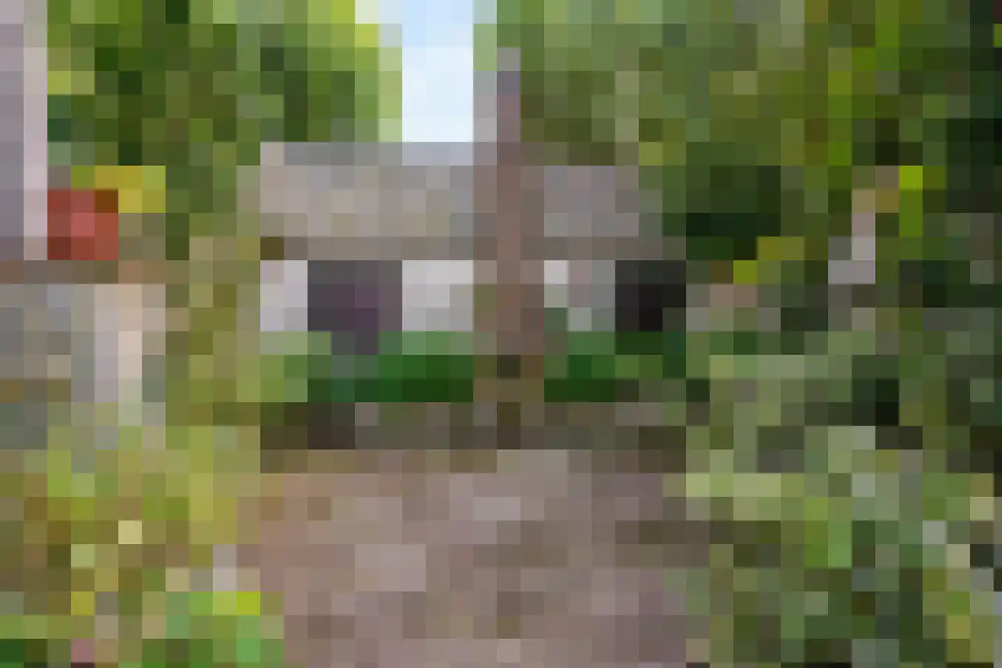 Visweg 69 Limmen thumbnail 51