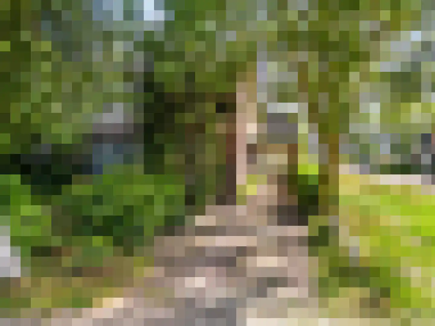 Visweg 69 Limmen thumbnail 53