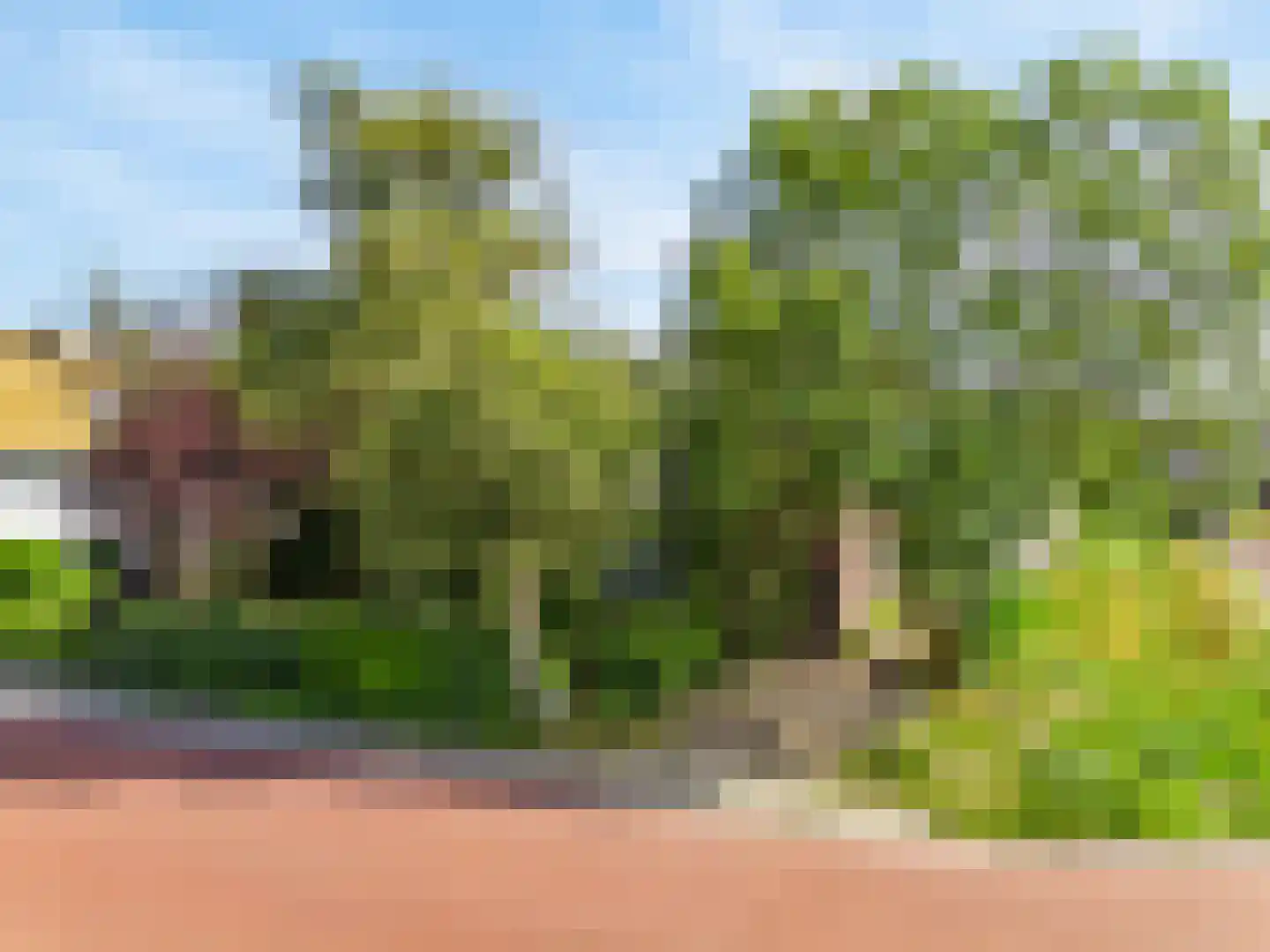 Visweg 69 Limmen thumbnail 54