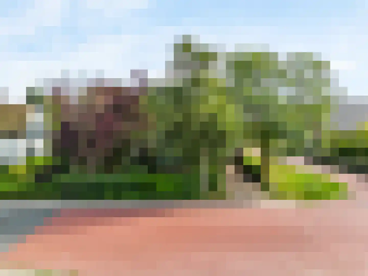 Visweg 69 Limmen thumbnail 55
