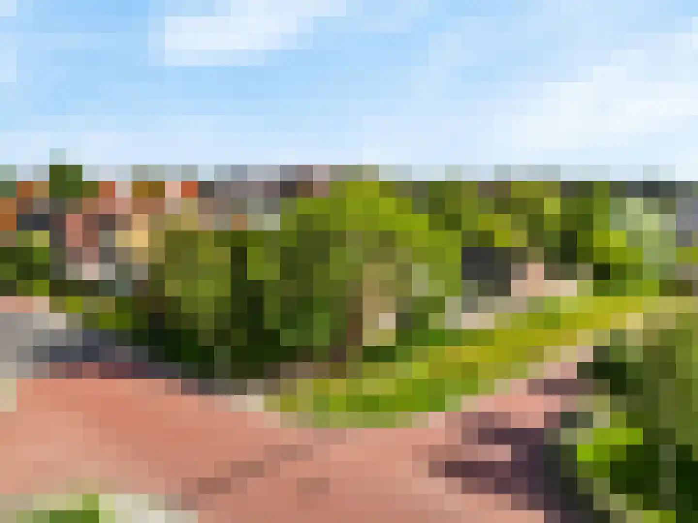 Visweg 69 Limmen thumbnail 58