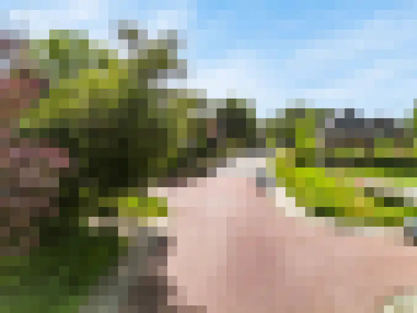 Visweg 69 Limmen thumbnail 59
