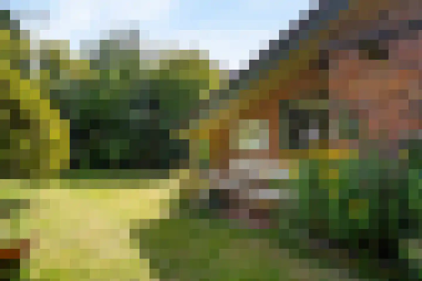 Visweg 69 Limmen thumbnail 6