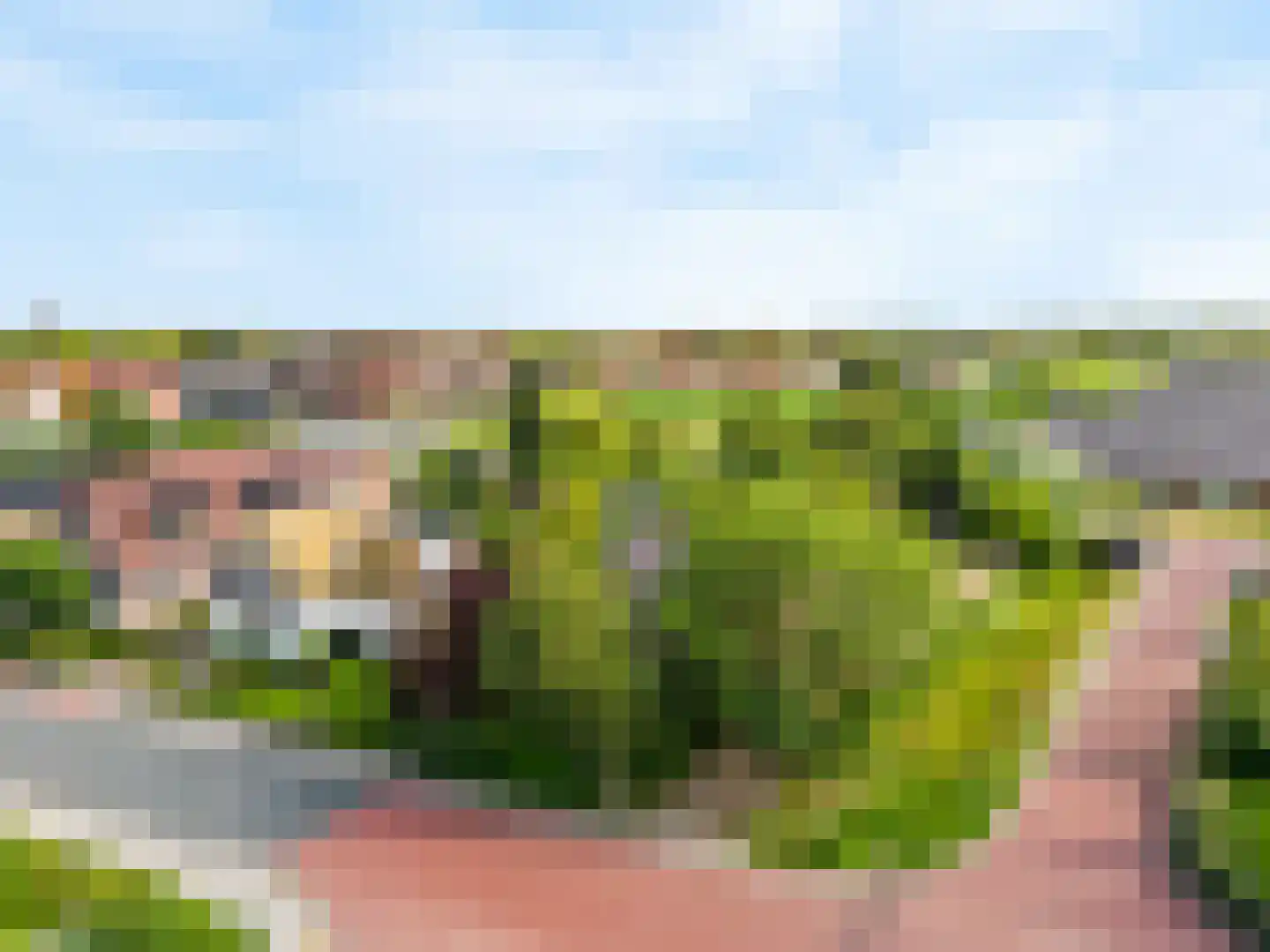 Visweg 69 Limmen thumbnail 60