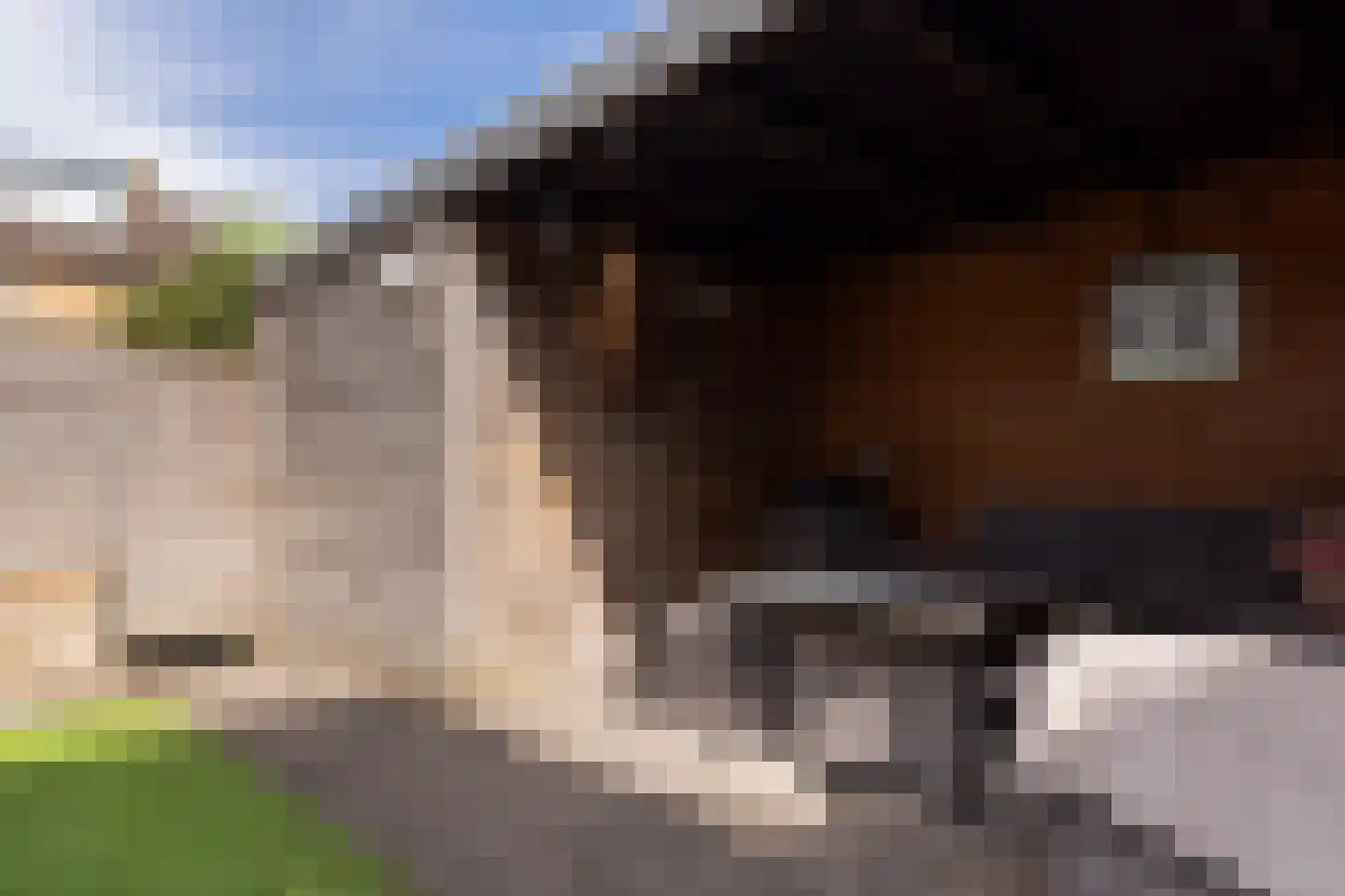 Visweg 7 Egmond-Binnen thumbnail 37