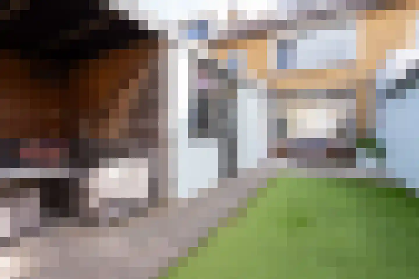 Visweg 7 Egmond-Binnen thumbnail 38