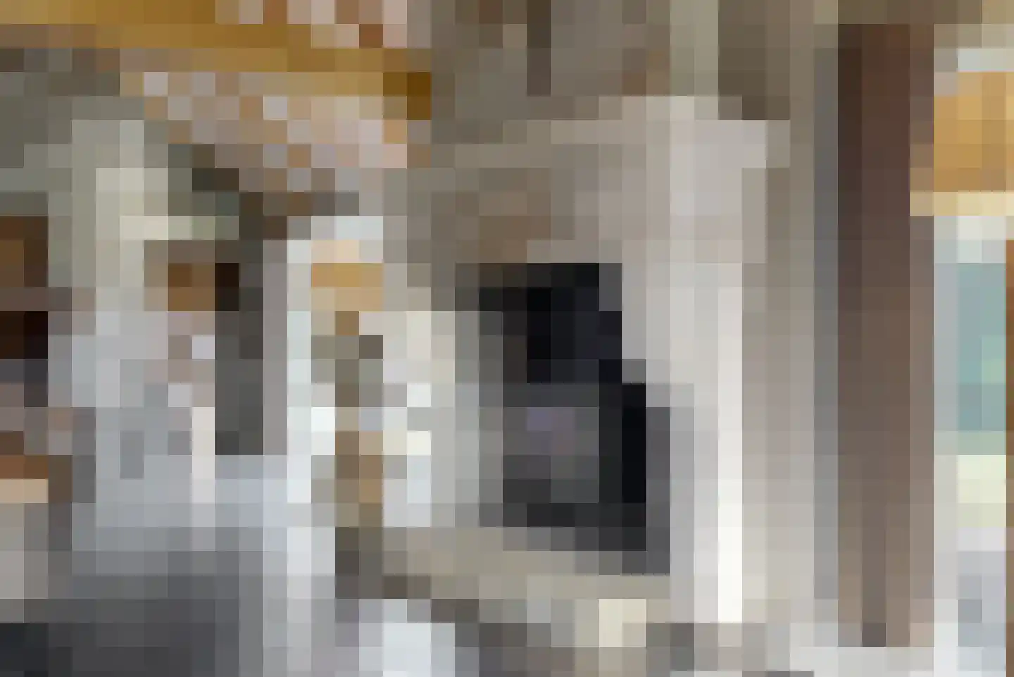 Visweg 71 Limmen thumbnail 16