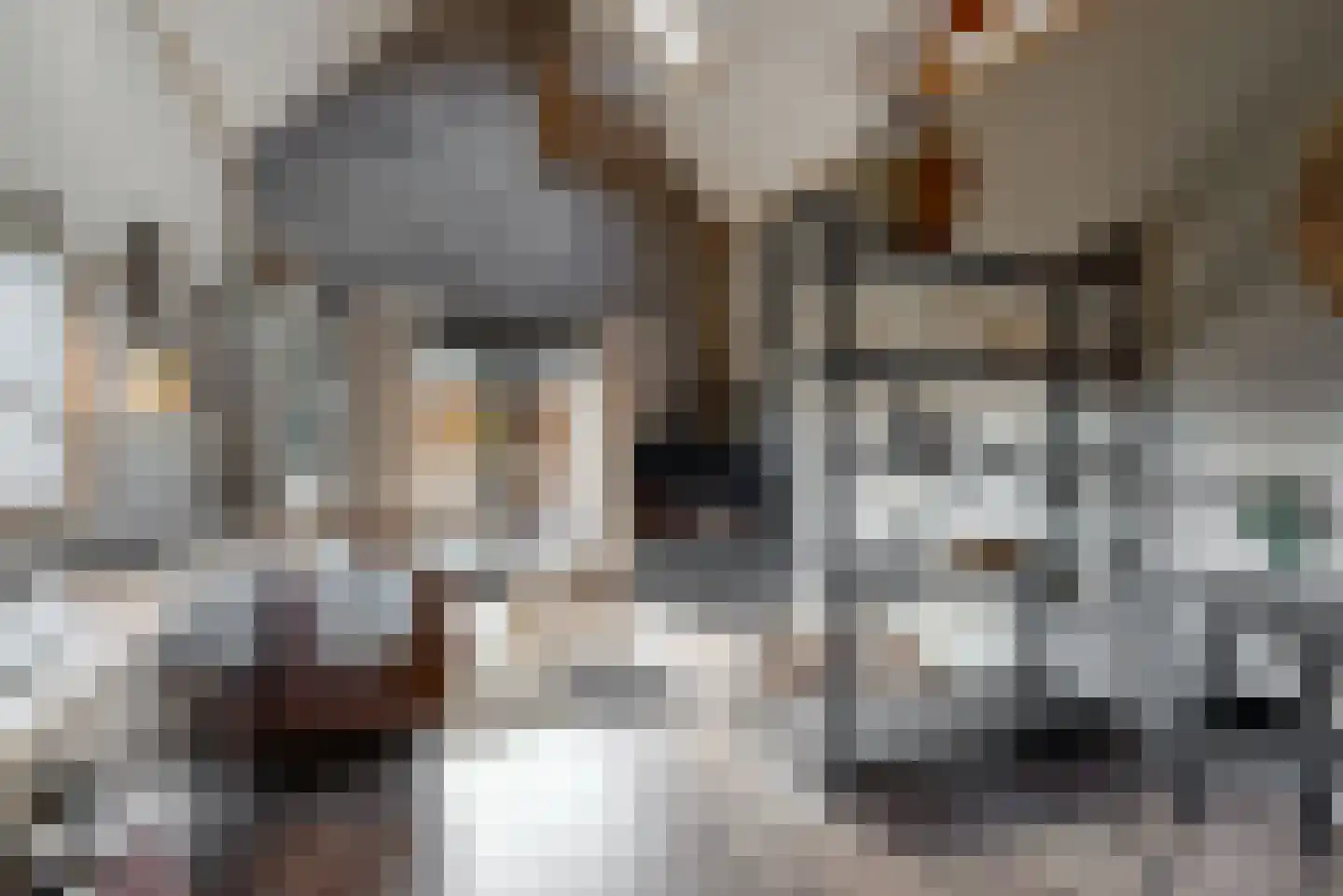 Visweg 71 Limmen thumbnail 4
