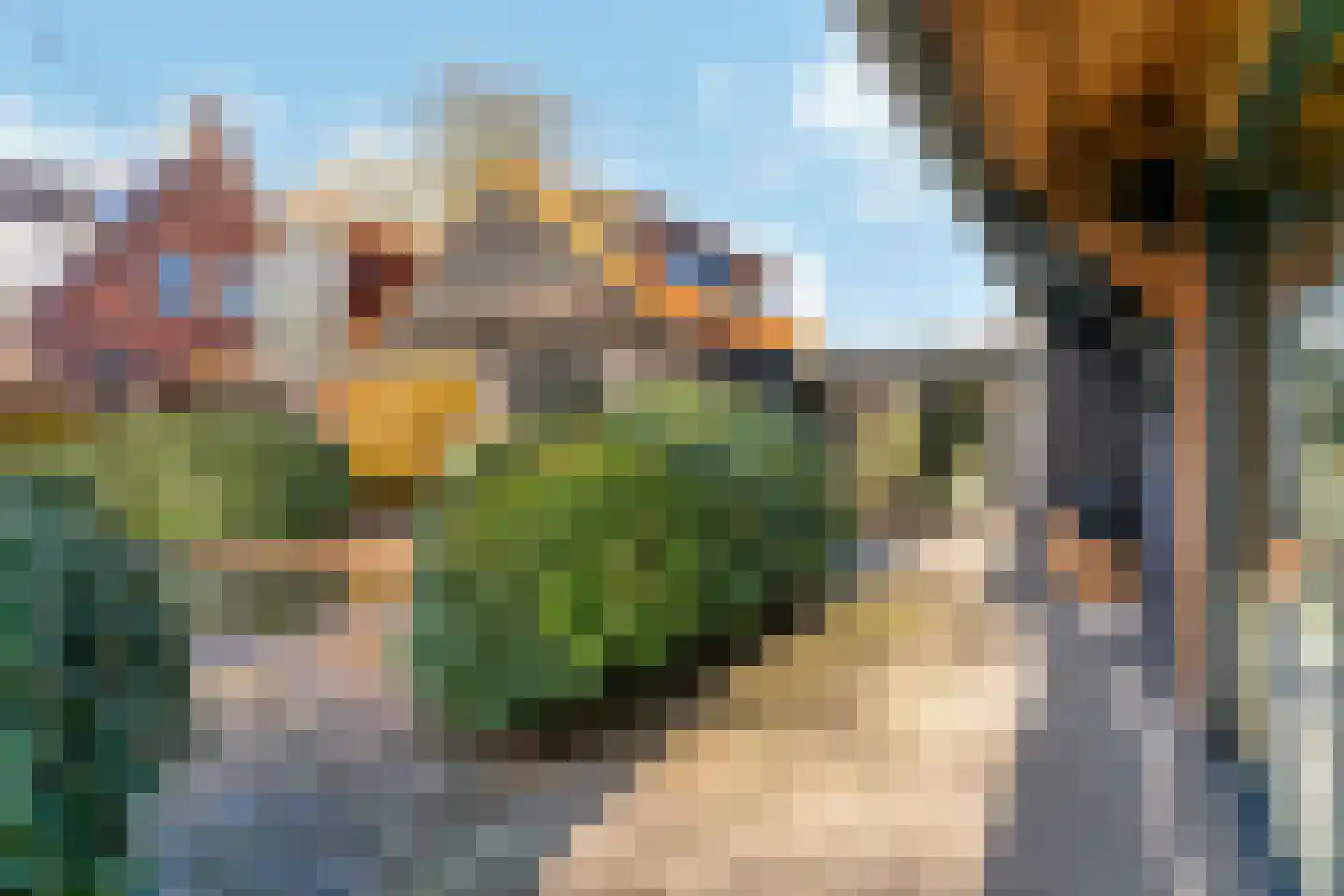 Visweg 71 Limmen thumbnail 72