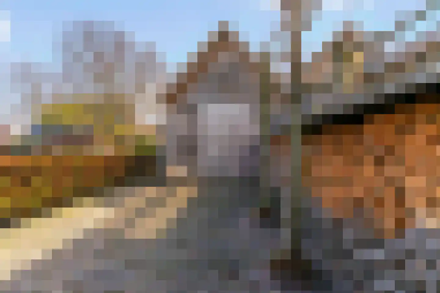 Visweg 71 Limmen thumbnail 75
