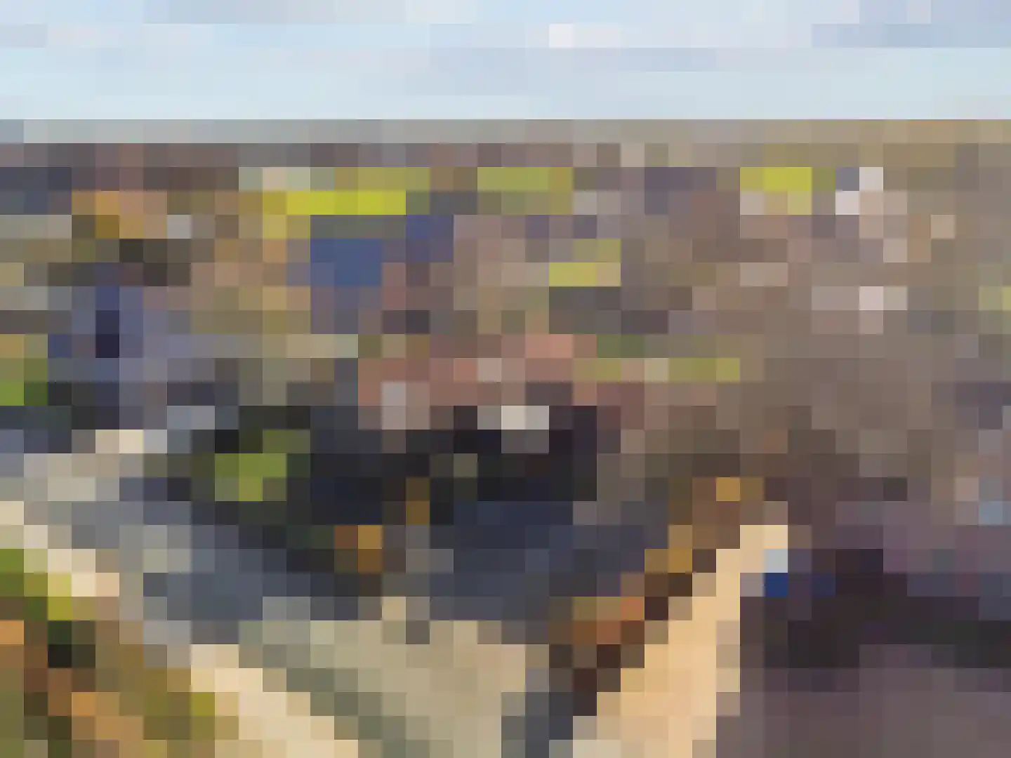 Visweg 71 Limmen thumbnail 81