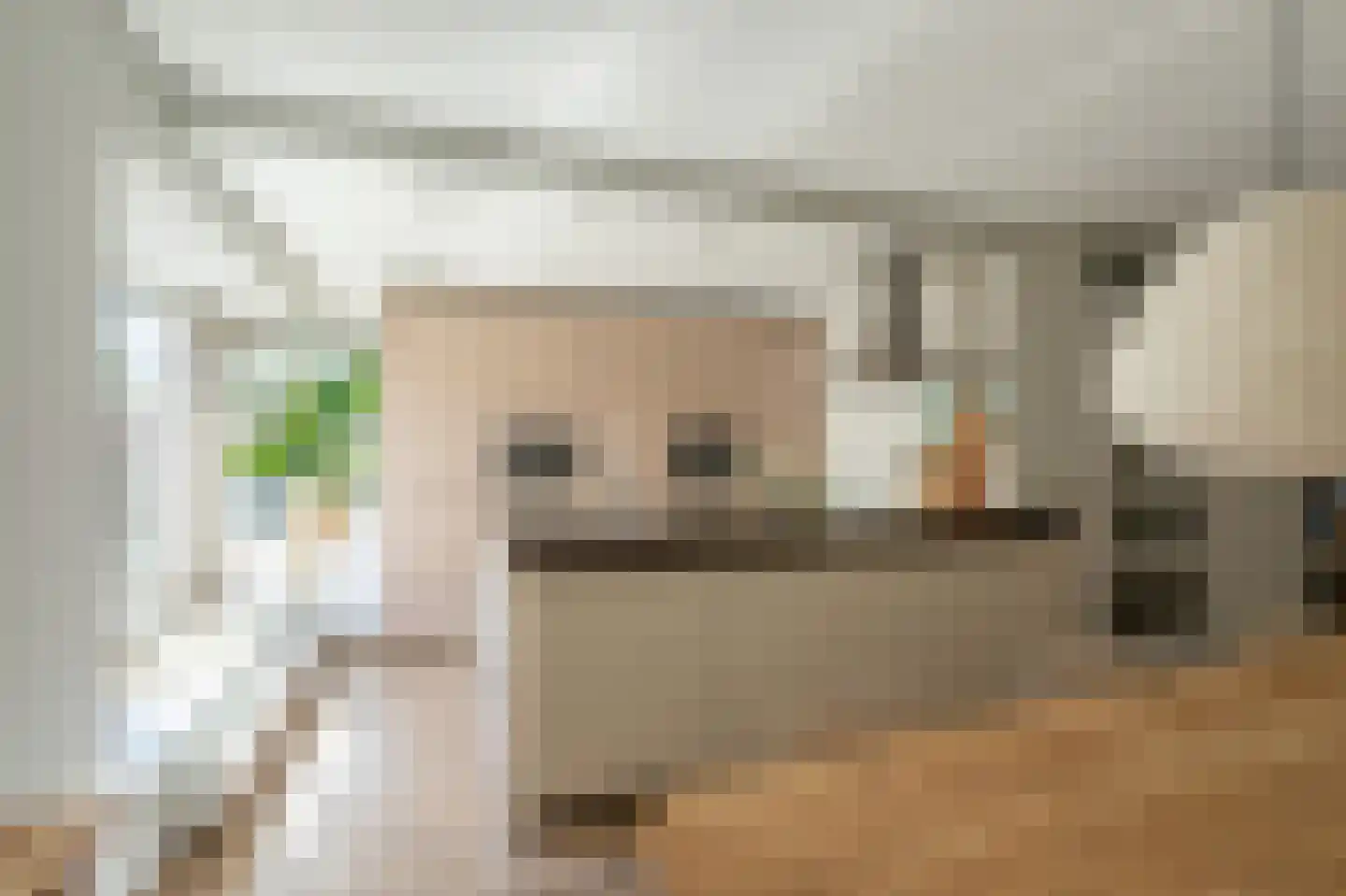 Viswei 63 Angeren thumbnail 12