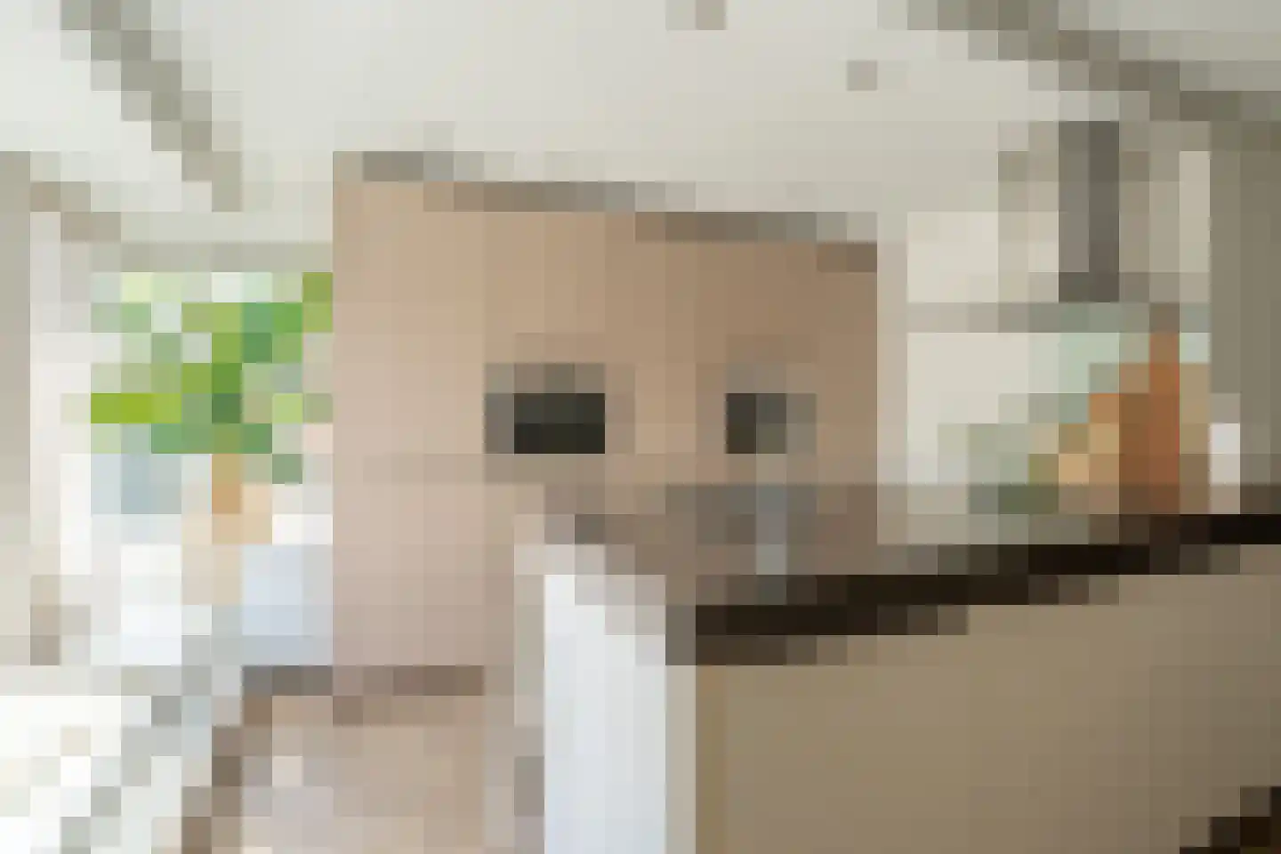 Viswei 63 Angeren thumbnail 13