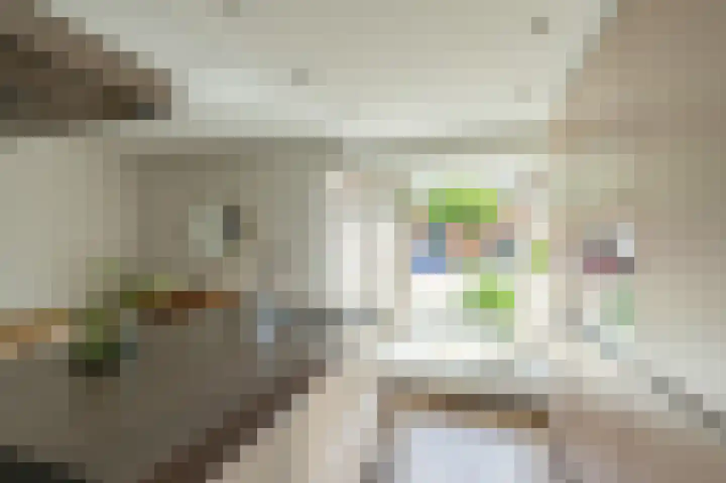 Viswei 63 Angeren thumbnail 14