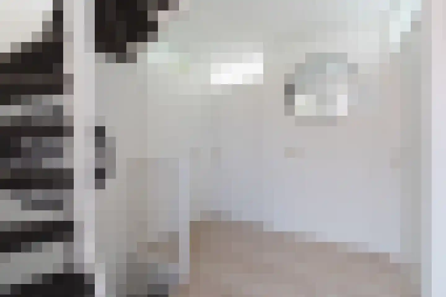 Viswei 63 Angeren thumbnail 16