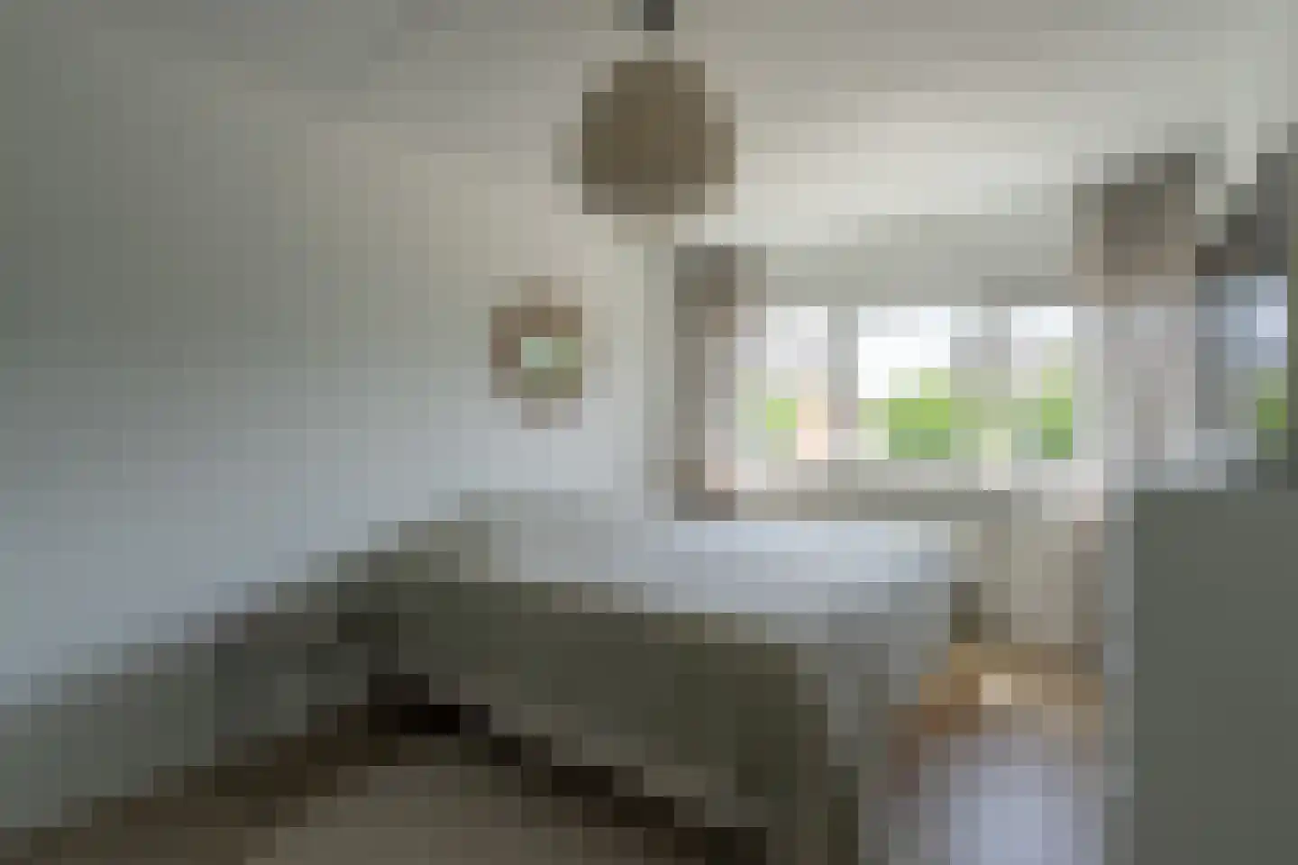 Viswei 63 Angeren thumbnail 17