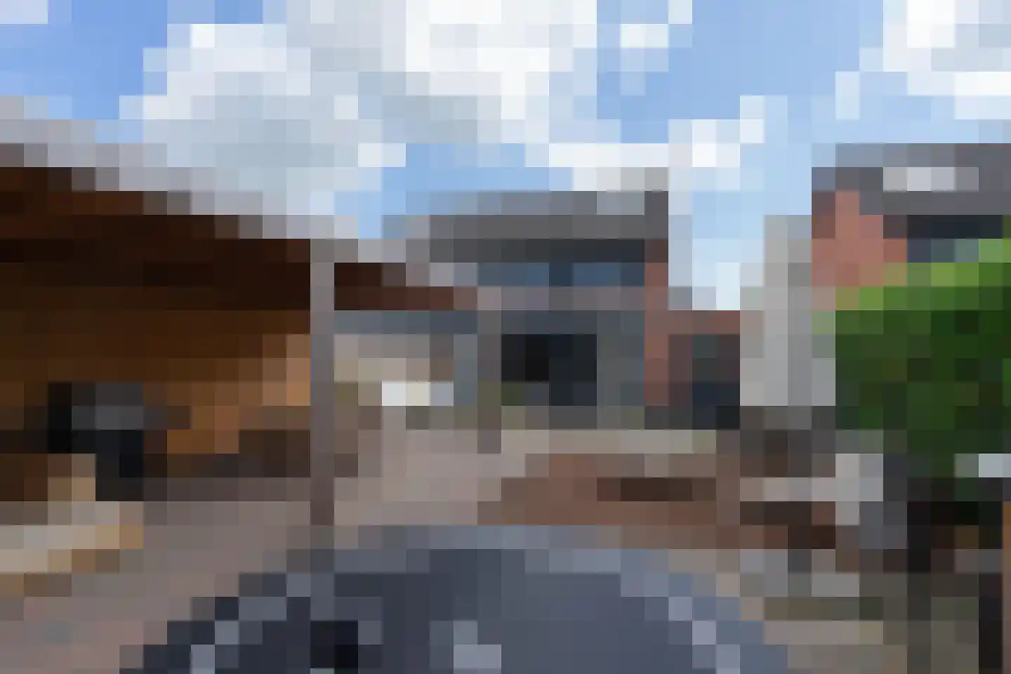 Viswei 63 Angeren foto 2