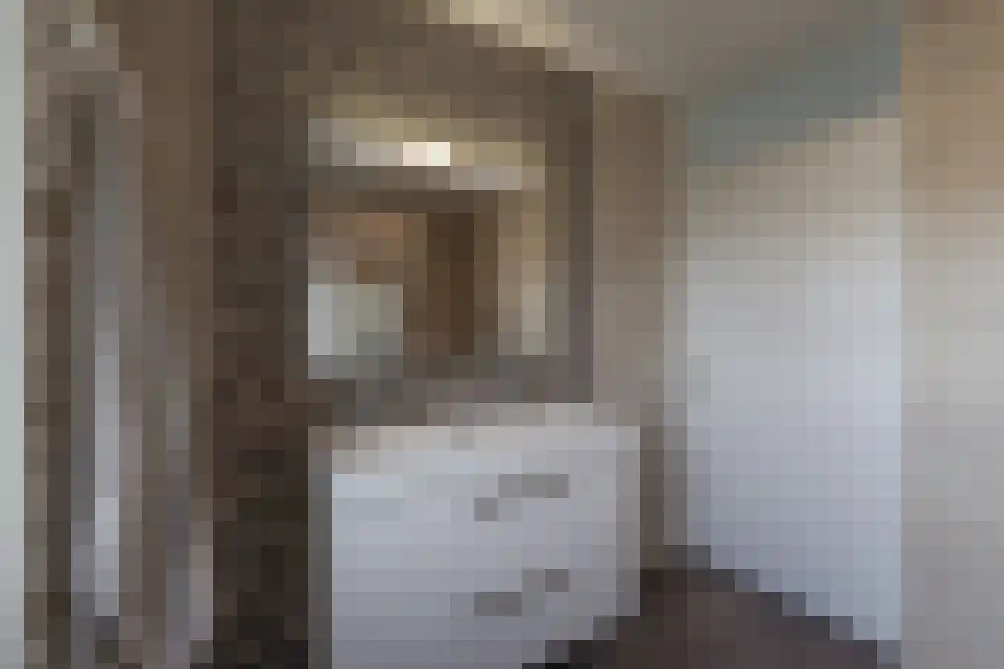 Viswei 63 Angeren thumbnail 25