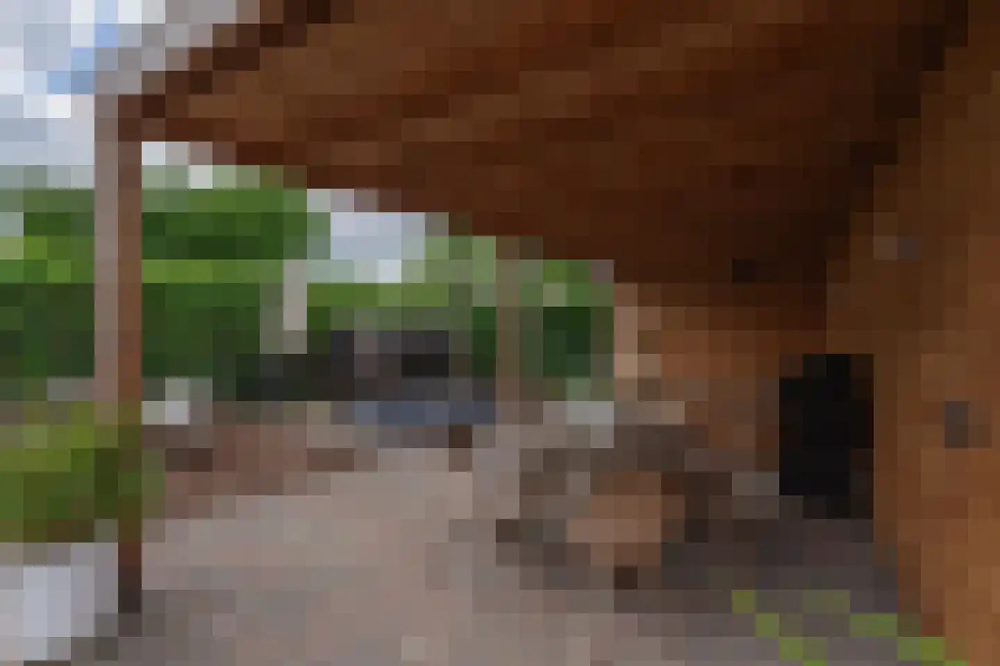 Viswei 63 Angeren thumbnail 35