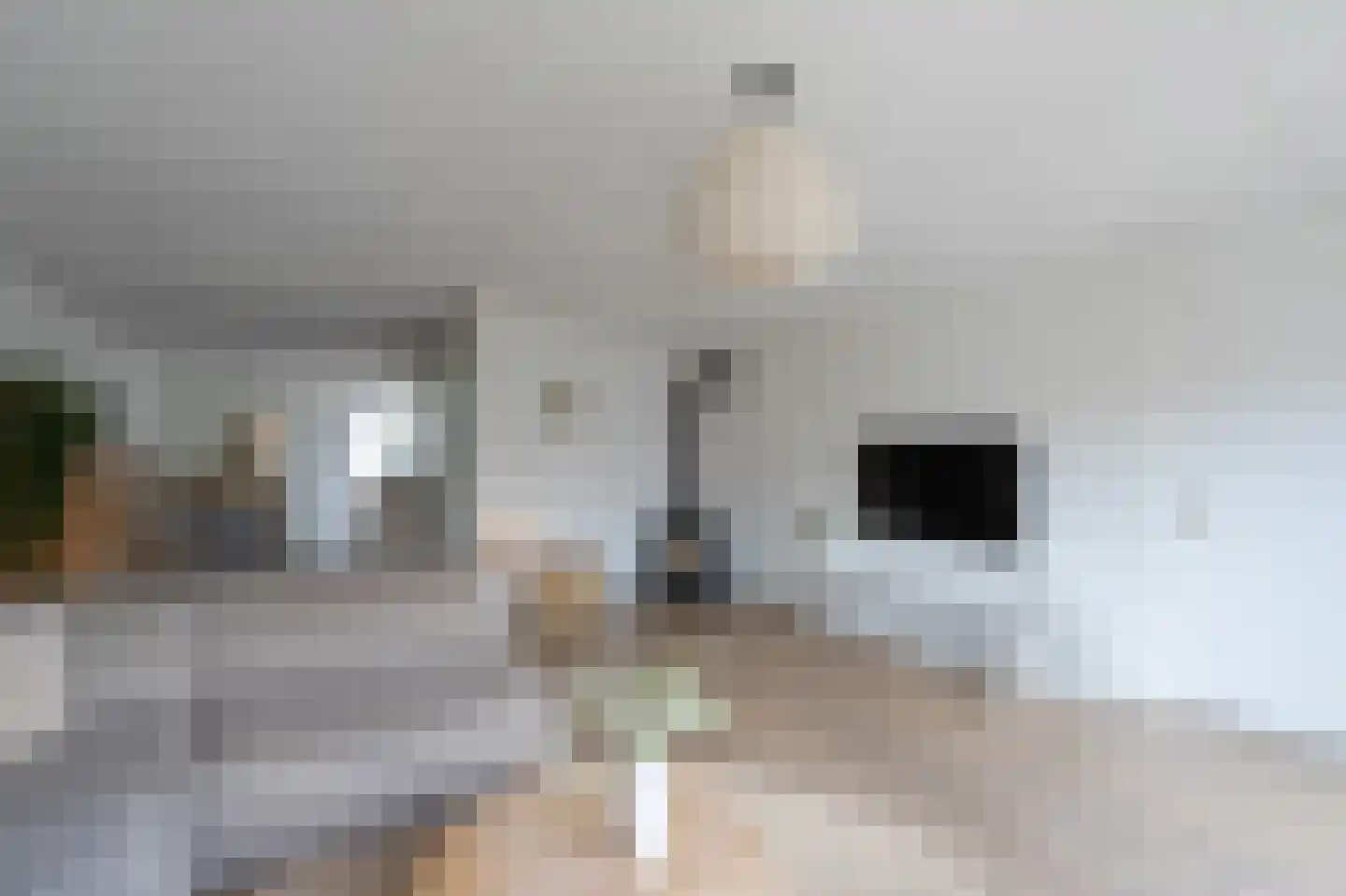 Viswei 63 Angeren thumbnail 7