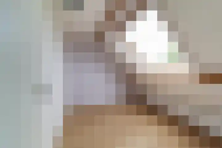 Vitelliuslaan 27 Beuningen Gld thumbnail 18