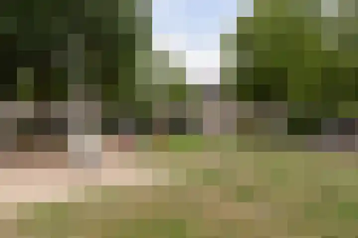 Vitelliuslaan 27 Beuningen Gld thumbnail 20
