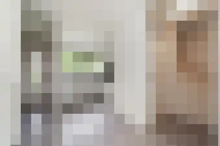 Vitelliuslaan 27 Beuningen Gld thumbnail 9