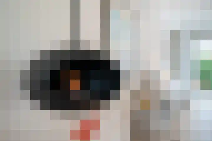 Vitóriadreef 17 Utrecht thumbnail 11