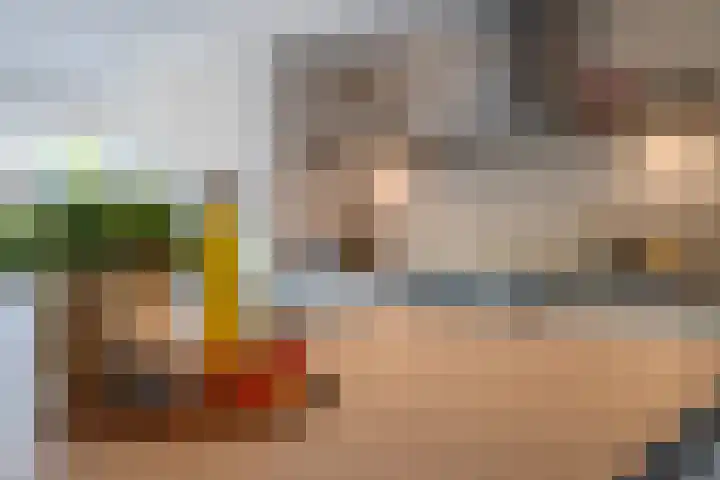 Vitóriadreef 17 Utrecht thumbnail 13