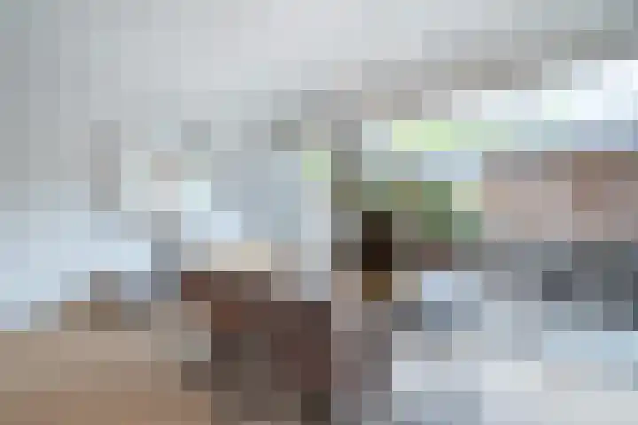 Vitóriadreef 17 Utrecht thumbnail 16